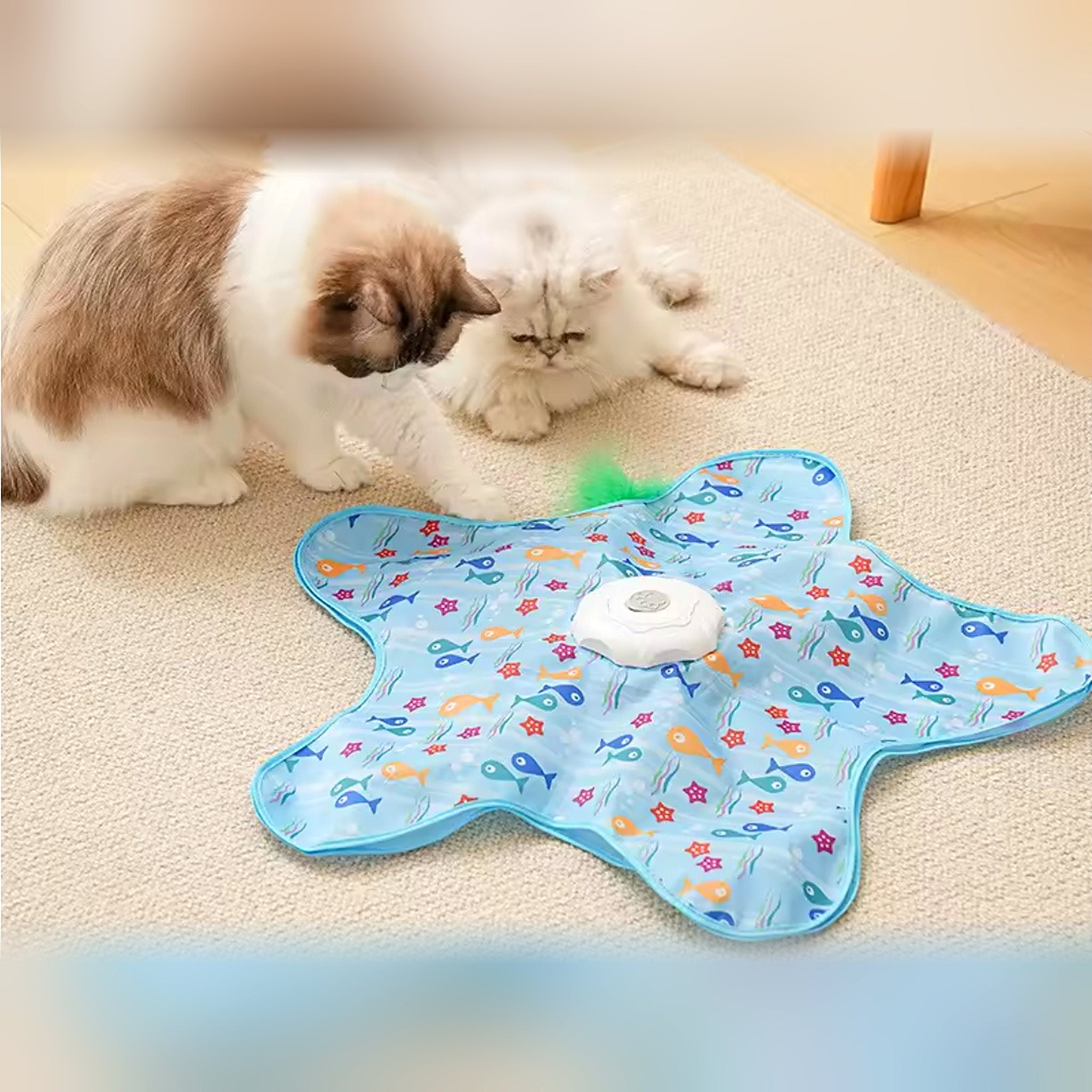 Jouet cache-cache à plumes pour chat Poil & Co – photo 2