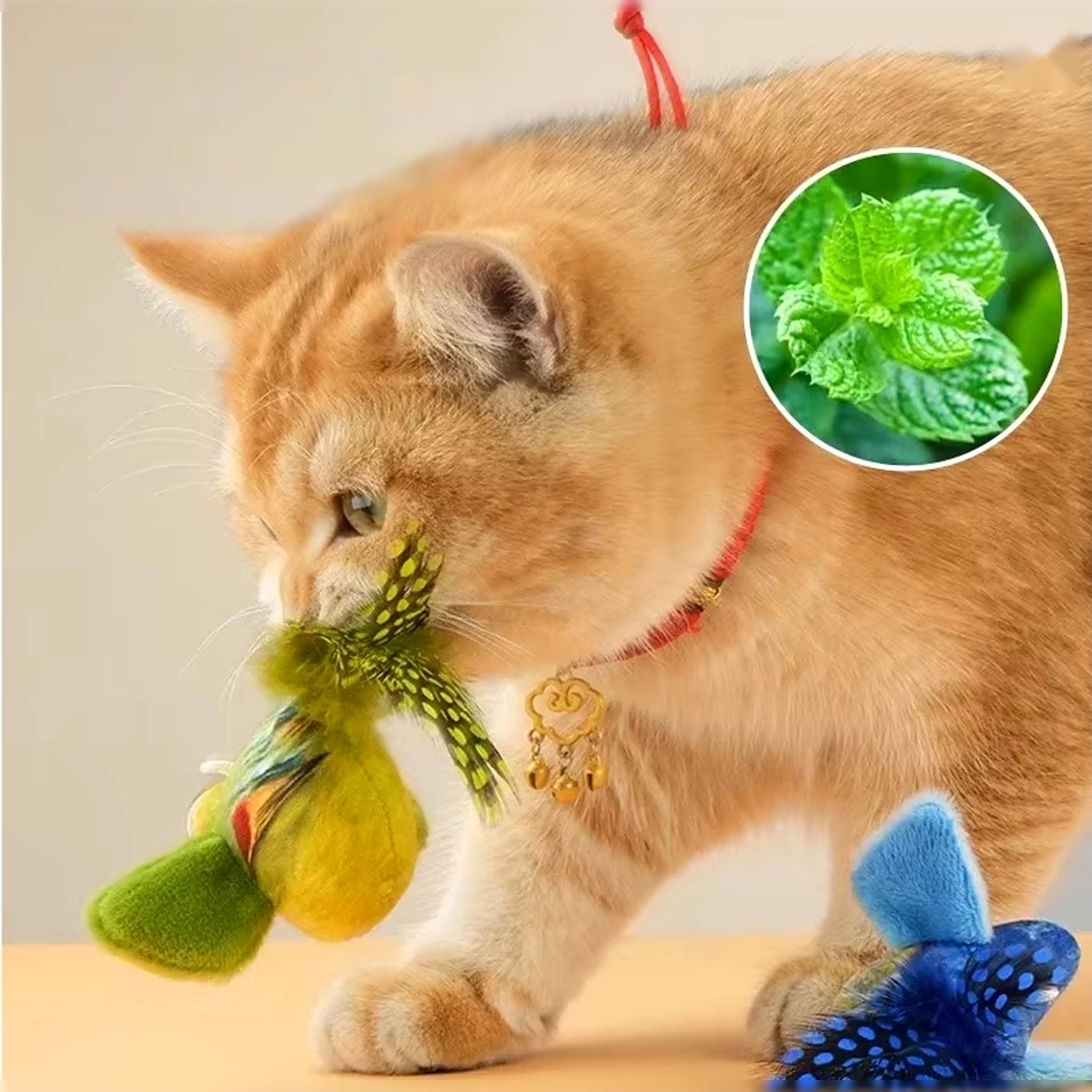 Jouet oiseau en peluche pour chat Poil & Co – photo 4