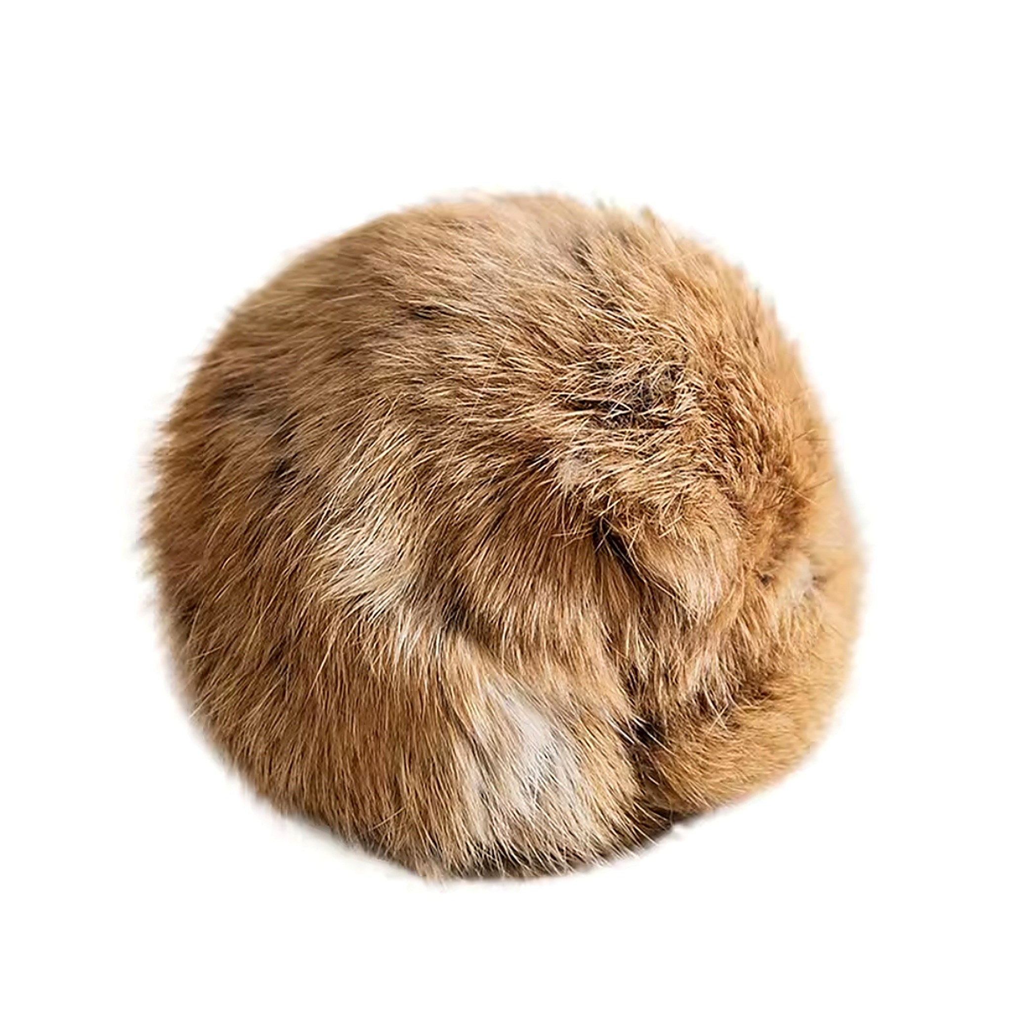 Balle en fourrure de lapin pour chat Poil & Co – photo 5