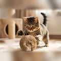 Balle en fourrure de lapin pour chat Poil & Co – photo 1